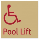 Pool Lift w/ISA Symbol - Large - Replacements
