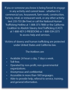 California English Human Trafficking Notice