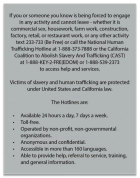 California English Human Trafficking Notice