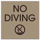 No Diving Sign with Symbol
